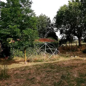 Da Pino Montemerano